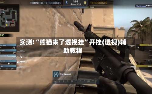 实测!“熊猫来了透视挂	”开挂(透视)辅助教程-第1张图片