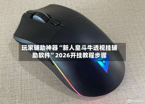 玩家辅助神器“新人皇斗牛透视挂辅助软件”2026开挂教程步骤-第2张图片