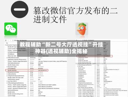 教程辅助“新二号大厅透视挂”开挂神器{透视辅助}全揭秘-第2张图片