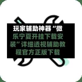 玩家辅助神器“微乐宁夏开挂下载安装”详细透视辅助教程官方正版下载-第3张图片