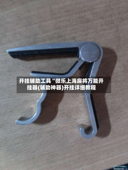 开挂辅助工具“微乐上海麻将万能开挂器(辅助神器)开挂详细教程-第1张图片