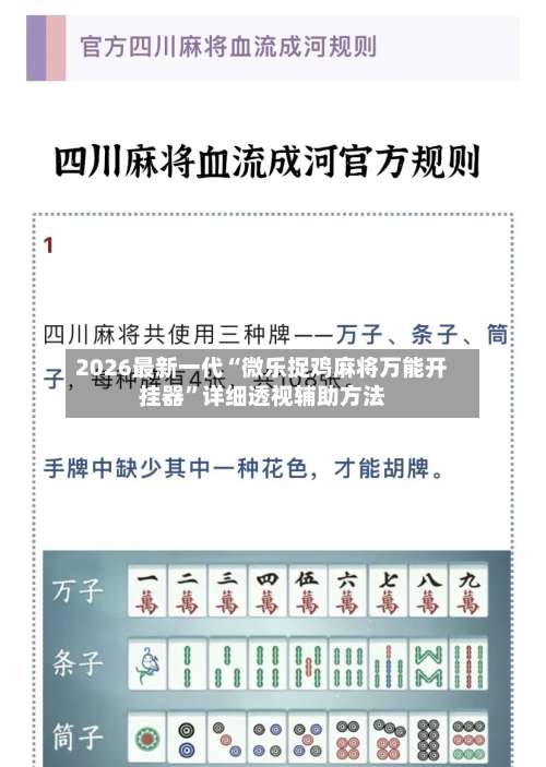 2026最新一代“微乐捉鸡麻将万能开挂器”详细透视辅助方法-第3张图片