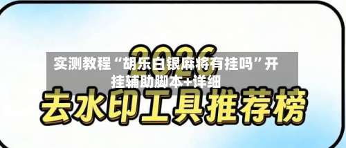 实测教程“胡乐白银麻将有挂吗”开挂辅助脚本+详细-第2张图片