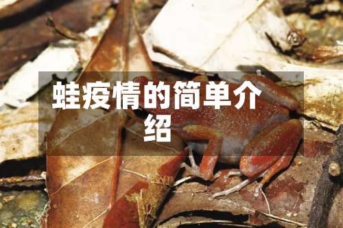 蛙疫情的简单介绍-第1张图片