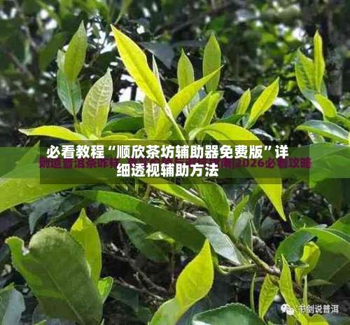 必看教程“顺欣茶坊辅助器免费版	”详细透视辅助方法-第1张图片