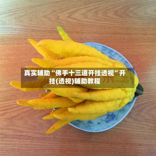 真实辅助“佛手十三道开挂透视	”开挂(透视)辅助教程-第2张图片