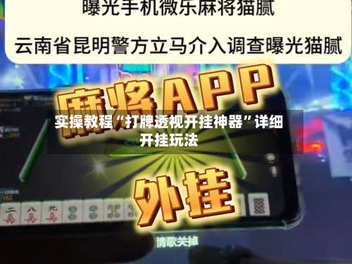 实操教程“打牌透视开挂神器	”详细开挂玩法-第2张图片