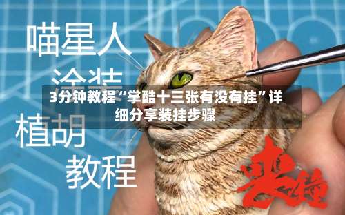 3分钟教程“掌酷十三张有没有挂”详细分享装挂步骤-第2张图片