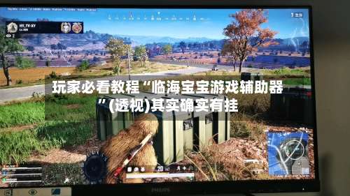 玩家必看教程“临海宝宝游戏辅助器”(透视)其实确实有挂-第2张图片