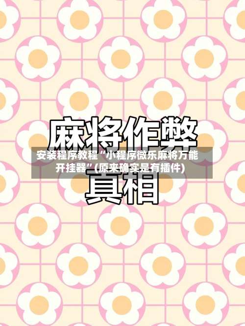 安装程序教程“小程序微乐麻将万能开挂器”(原来确实是有插件)-第3张图片