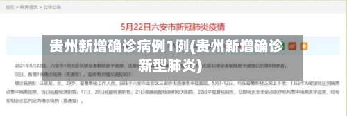 贵州新增确诊病例1例(贵州新增确诊新型肺炎)-第3张图片