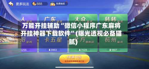万能开挂辅助“微信小程序广东麻将开挂神器下载软件”(曝光透视必备猫腻)-第2张图片