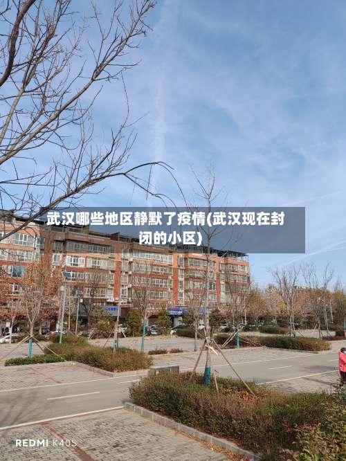 武汉哪些地区静默了疫情(武汉现在封闭的小区)-第1张图片