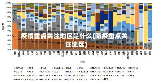疫情重点关注地区是什么(防疫重点关注地区)-第1张图片
