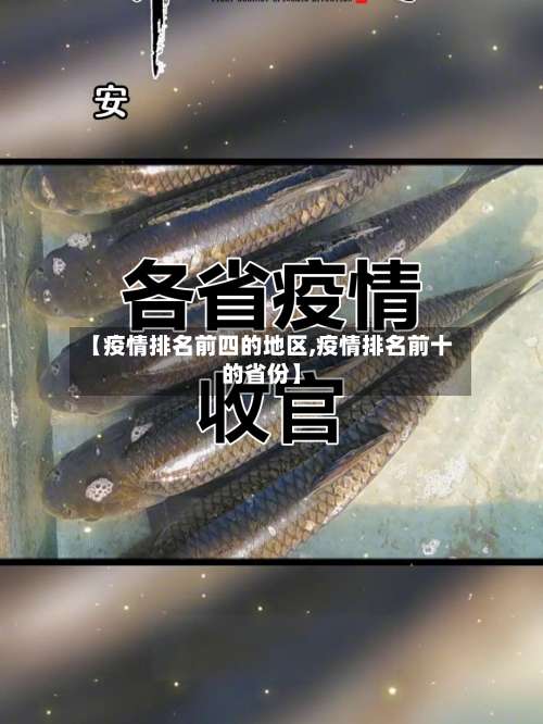 【疫情排名前四的地区,疫情排名前十的省份】-第3张图片