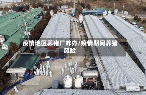 疫情地区养猪厂咋办/疫情期间养猪风险-第1张图片