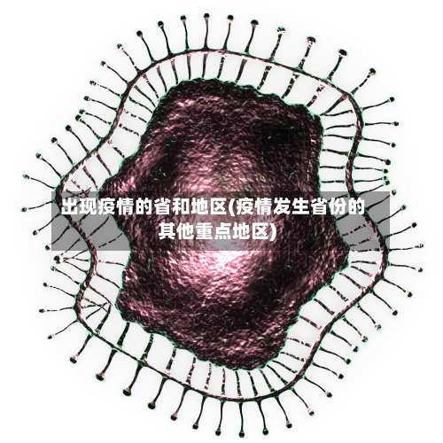 出现疫情的省和地区(疫情发生省份的其他重点地区)-第1张图片