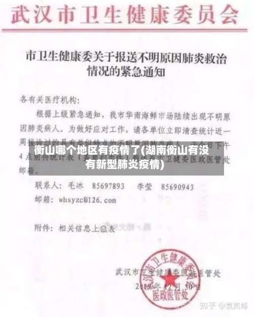 衡山哪个地区有疫情了(湖南衡山有没有新型肺炎疫情)-第2张图片