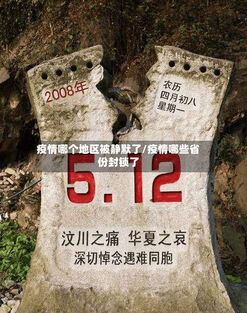 疫情哪个地区被静默了/疫情哪些省份封锁了-第1张图片