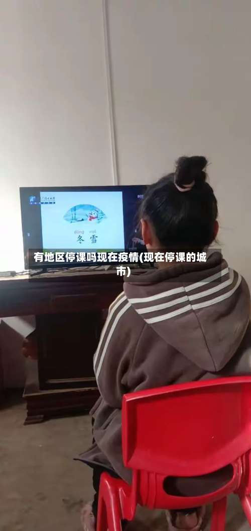 有地区停课吗现在疫情(现在停课的城市)-第2张图片