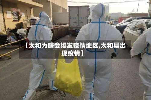 【太和为啥会爆发疫情地区,太和县出现疫情】-第3张图片