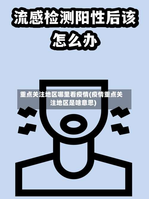 重点关注地区哪里看疫情(疫情重点关注地区是啥意思)-第2张图片