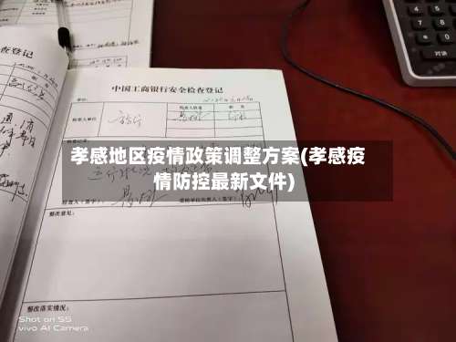 孝感地区疫情政策调整方案(孝感疫情防控最新文件)-第1张图片