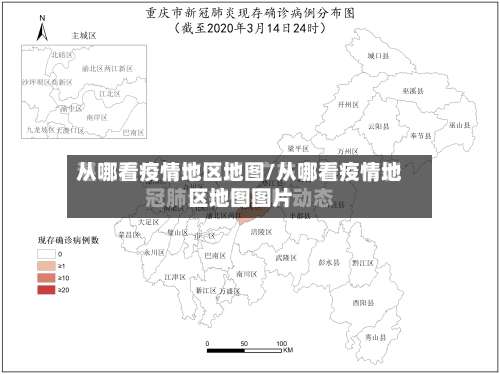 从哪看疫情地区地图/从哪看疫情地区地图图片-第2张图片