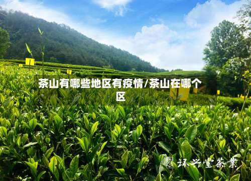 茶山有哪些地区有疫情/茶山在哪个区-第2张图片