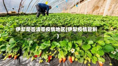 伊犁是否清零疫情地区(伊犁疫情管制)-第1张图片