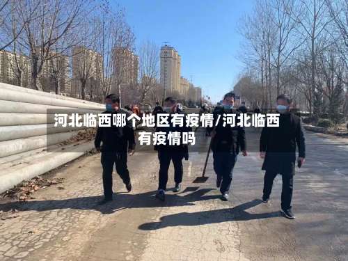 河北临西哪个地区有疫情/河北临西有疫情吗-第3张图片