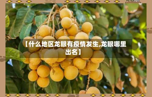 【什么地区龙眼有疫情发生,龙眼哪里出名】-第1张图片