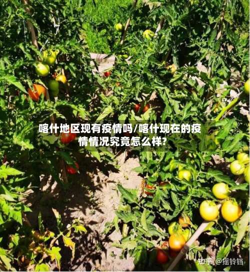 喀什地区现有疫情吗/喀什现在的疫情情况究竟怎么样?-第1张图片