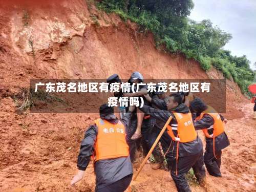广东茂名地区有疫情(广东茂名地区有疫情吗)-第3张图片