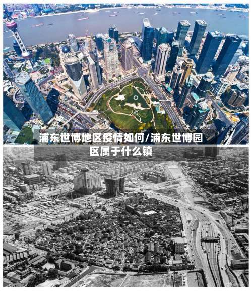 浦东世博地区疫情如何/浦东世博园区属于什么镇-第3张图片