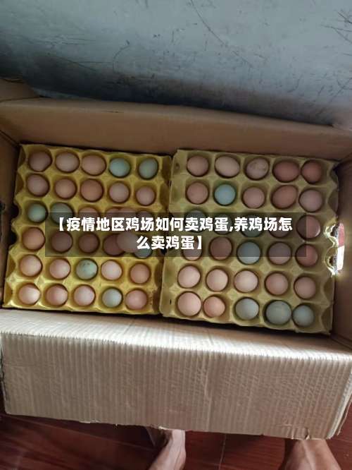 【疫情地区鸡场如何卖鸡蛋,养鸡场怎么卖鸡蛋】-第1张图片