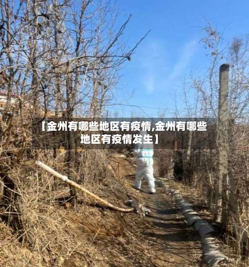 【金州有哪些地区有疫情,金州有哪些地区有疫情发生】-第2张图片
