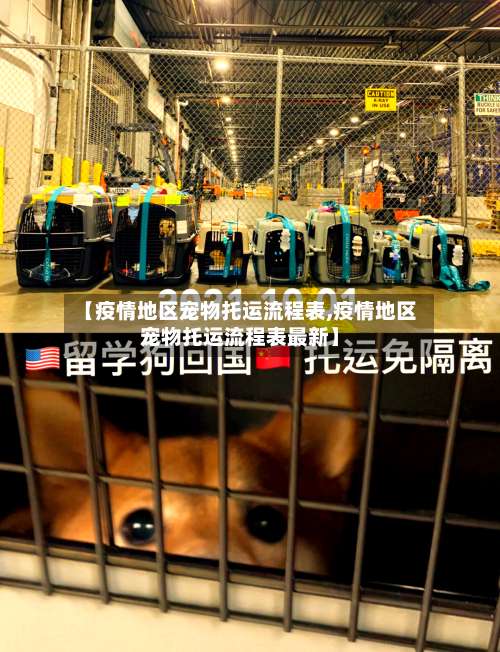 【疫情地区宠物托运流程表,疫情地区宠物托运流程表最新】-第1张图片