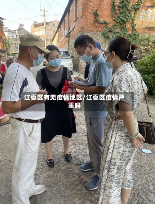 江夏区有无疫情地区/江夏区疫情严重吗-第3张图片
