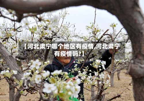 【河北肃宁哪个地区有疫情,河北肃宁有疫情吗?】-第1张图片