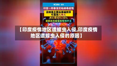 【印度疫情地区遭蝗虫入侵,印度疫情地区遭蝗虫入侵的原因】-第3张图片