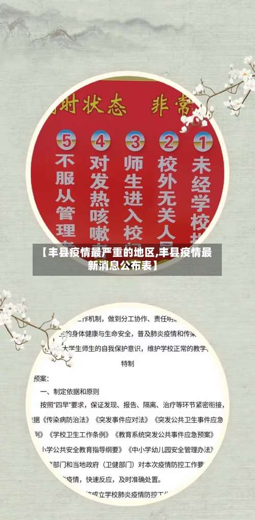 【丰县疫情最严重的地区,丰县疫情最新消息公布表】-第1张图片
