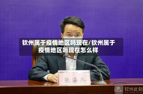钦州属于疫情地区吗现在/钦州属于疫情地区吗现在怎么样-第3张图片