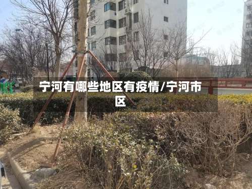 宁河有哪些地区有疫情/宁河市区-第2张图片