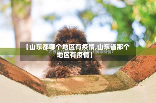 【山东都哪个地区有疫情,山东省那个地区有疫情】-第3张图片