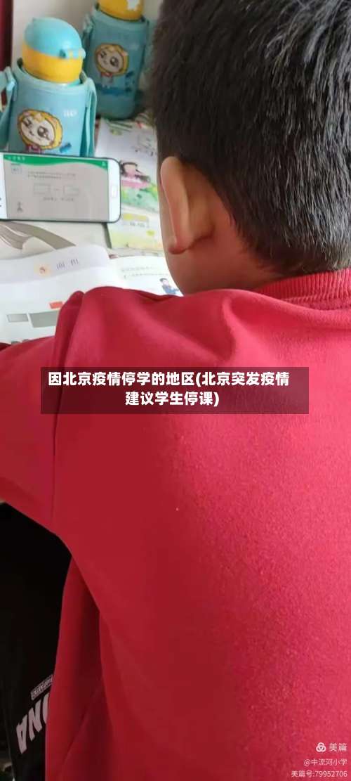 因北京疫情停学的地区(北京突发疫情建议学生停课)-第1张图片