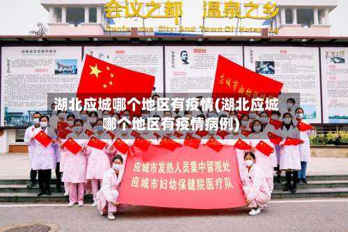 湖北应城哪个地区有疫情(湖北应城哪个地区有疫情病例)-第1张图片