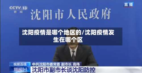 沈阳疫情是哪个地区的/沈阳疫情发生在哪个区-第1张图片