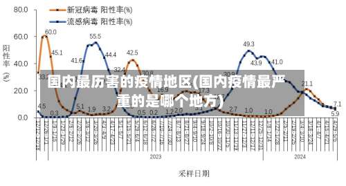 国内最历害的疫情地区(国内疫情最严重的是哪个地方)-第2张图片