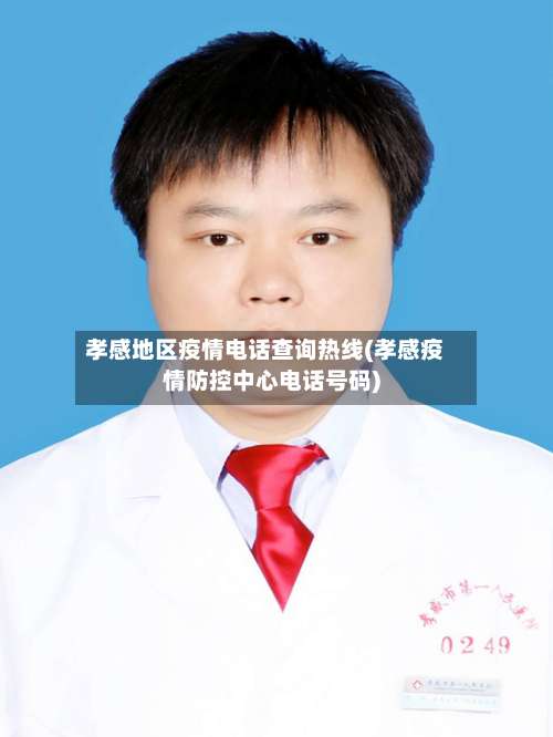 孝感地区疫情电话查询热线(孝感疫情防控中心电话号码)-第2张图片
